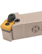 P - System